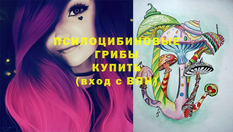 кракен вход  Киселёвск  Псилоцибиновые грибы Psilocybe 